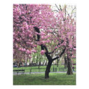 Suche nach rosa baum fotodruck Bäume