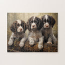 Suche nach springer spaniel puzzle Sprungbrett