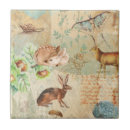 Suche nach wilder hase fliesen Wild lebende tiere