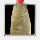 Suche nach gaulish ornamente Gallo römisch