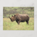 Suche nach nairobi postkarten Natur