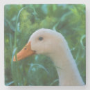 Suche nach enten untersetzer Weiße ente