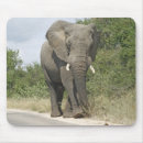 Suche nach enorm mousepads Groß