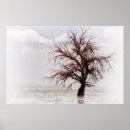 Suche nach toter baum poster Für alle