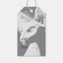 Suche nach schwarze katze geschenkanhänger Kätzchen