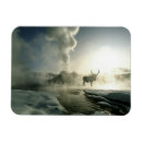 Suche nach sonnenaufgang magnete Wildtiere