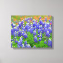 Suche nach lupine leinwandbilder Frühling