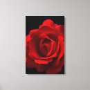 Suche nach rote rosen leinwandbilder Schwarz