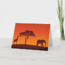 Suche nach afrikanische safari karten Jede person
