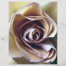 Suche nach botanischer garten flyer Rose