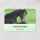 Suche nach braunes pferd visitenkarten Pony