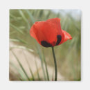 Suche nach poppy magnete Rot