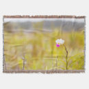 Suche nach vulkan decken Hawaii