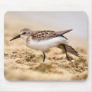 Suche nach schöner vogel mousepads Computer