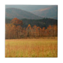 Suche nach cover fliesen Park