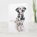 Suche nach vorderansicht karten Sitzen