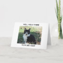 Suche nach schwarz weiße katze karten Tier