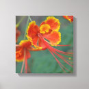 Suche nach teens leinwandbilder Blume