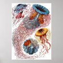 Suche nach kunstformen der natur poster Vintag