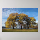 Suche nach entschlossen poster Natur