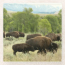 Suche nach animal untersetzer Jede person