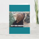 Suche nach küken karten Für alle