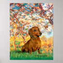 Suche nach dachshund poster Haustiere