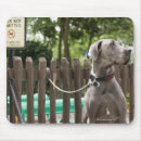 Suche nach dänen mousepads Hund