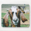 Suche nach niedliche ziege mousepads Bauernhof