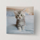 Suche nach tierthemen buttons Katze