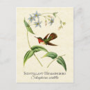 Suche nach kolibri postkarten Blumen