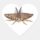 Suche nach motten Entomologie