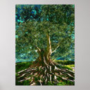 Suche nach kabbalah poster Baum