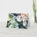 Suche nach toadstool karten Jede person