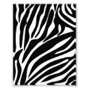 Suche nach zebra foto poster Schwarz und weiß