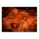 Suche nach sexuell postkarten Eizellen