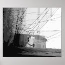 Suche nach weißes fenster poster Schwarz weiß