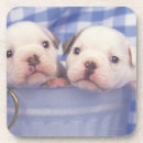 Suche nach eimer untersetzer Niedlich