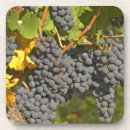 Suche nach merlot untersetzer Traube