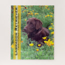 Suche nach schokoladen labrador puzzle Haustiere
