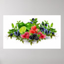 Suche nach frucht poster Früchte