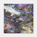 Suche nach aquarium magnete Schwimmbad