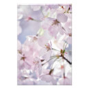 Suche nach prunus poster Blüte