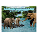 Suche nach 31 poster Jede person