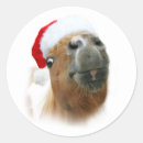 Suche nach weihnachtspferd aufkleber Pony