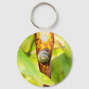 Suche nach schnecke schlüsselanhänger Spirale