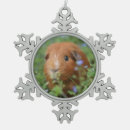 Suche nach meerschweinchen kugel ornamente Verzierung