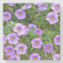 Suche nach lila blume untersetzer Lavendel