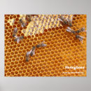Suche nach honigbienen poster Bienenstock