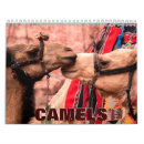 Suche nach kamele kalender Kamelkalender